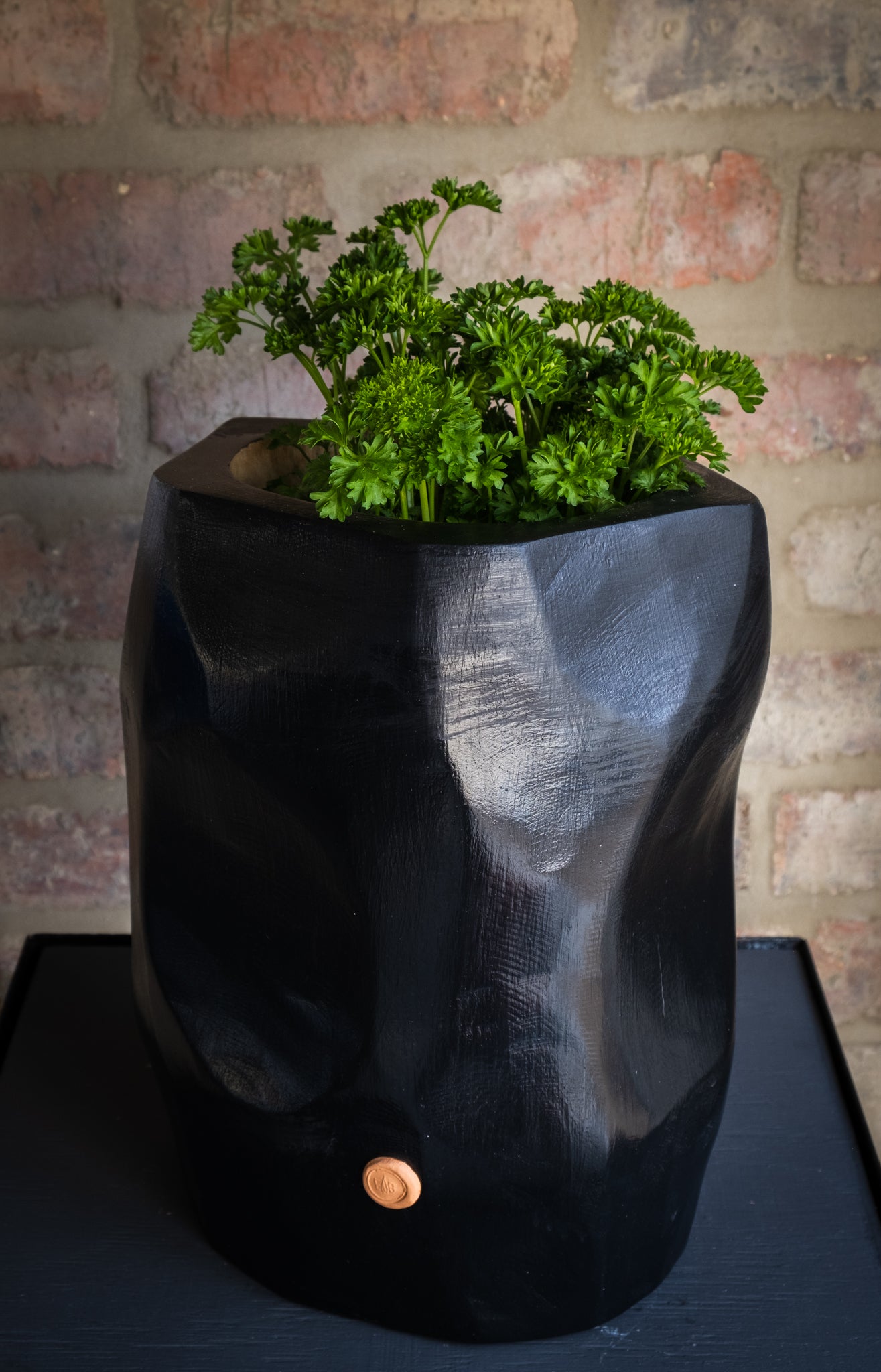 PLANT BOWL