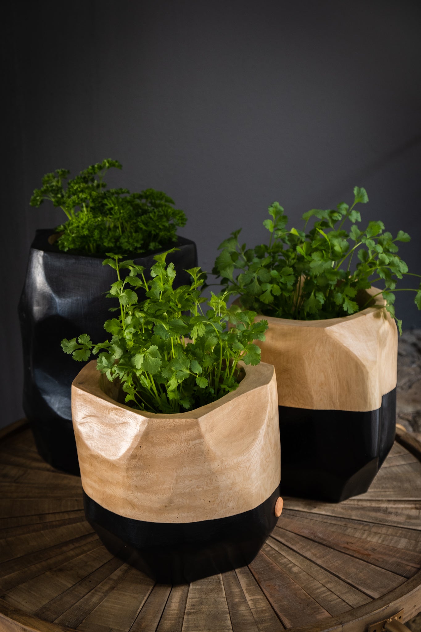 PLANT BOWL
