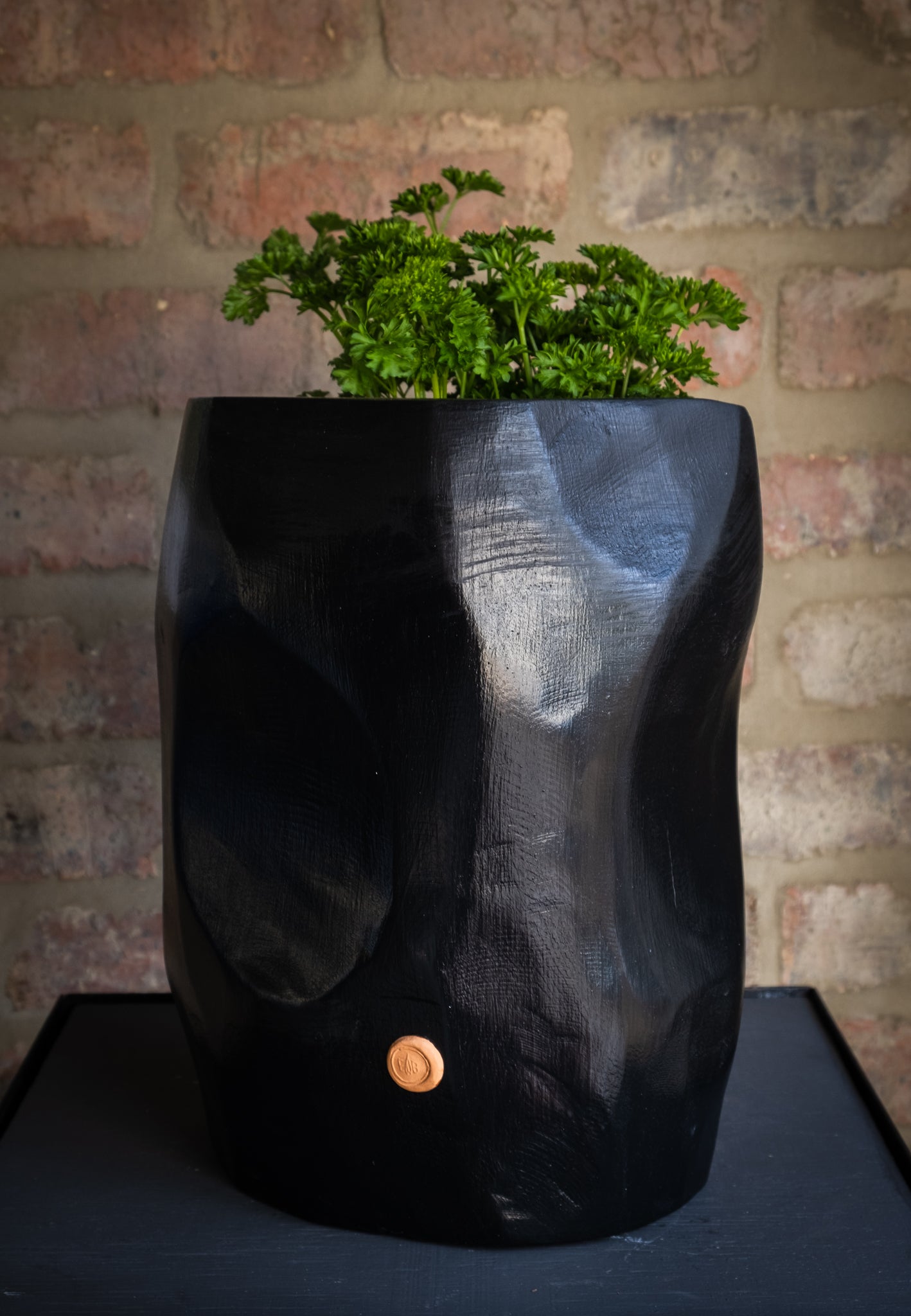 PLANT BOWL