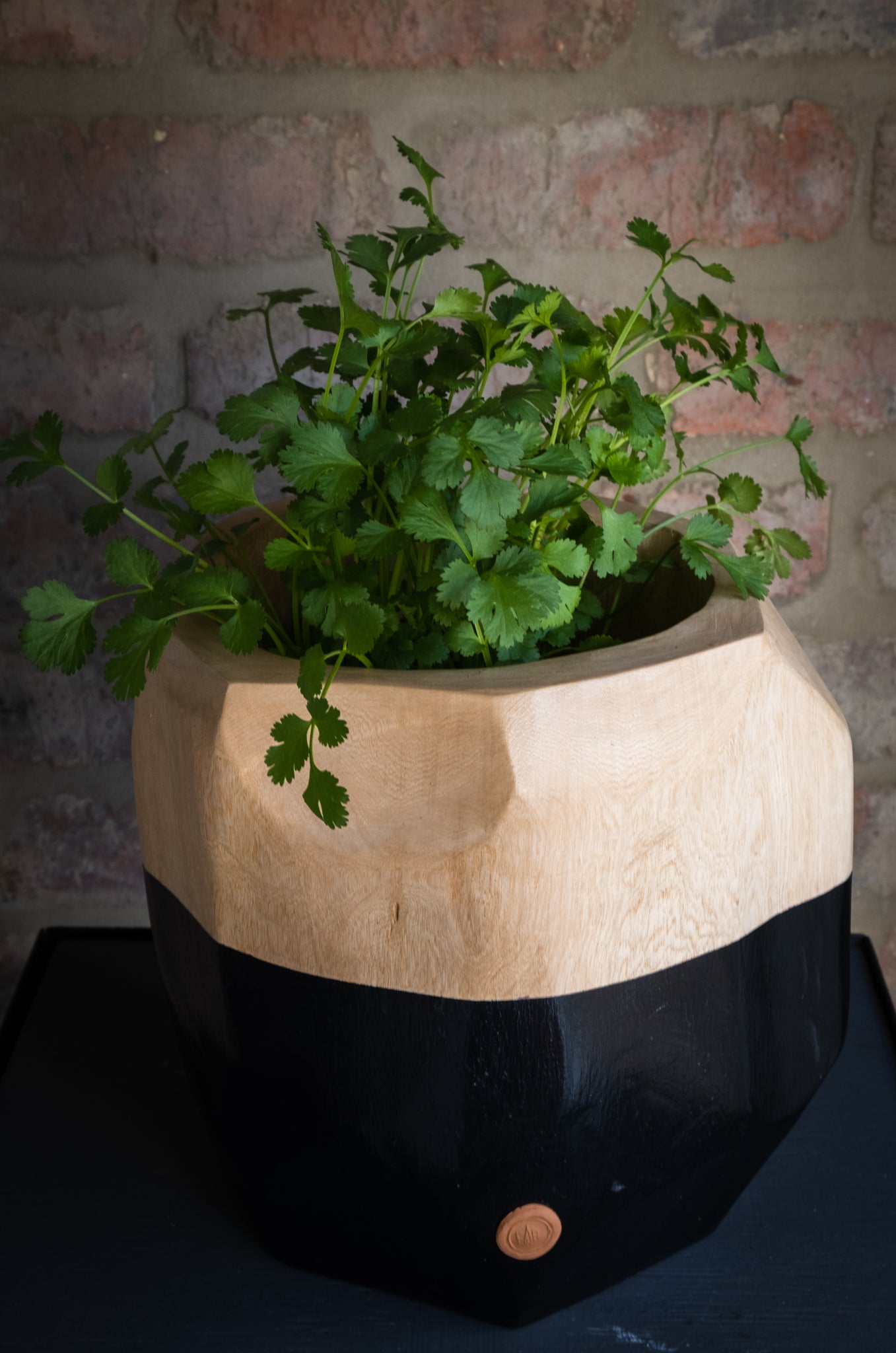 PLANT BOWL