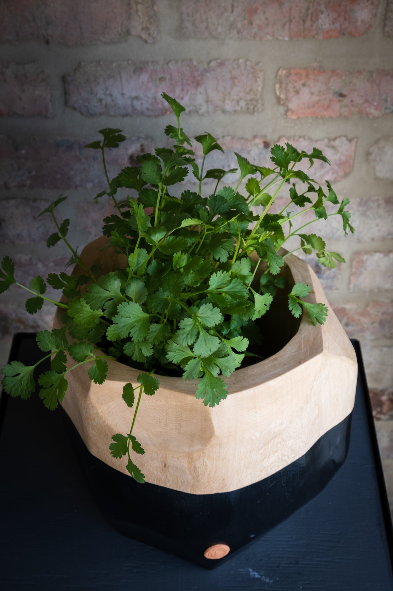 PLANT BOWL