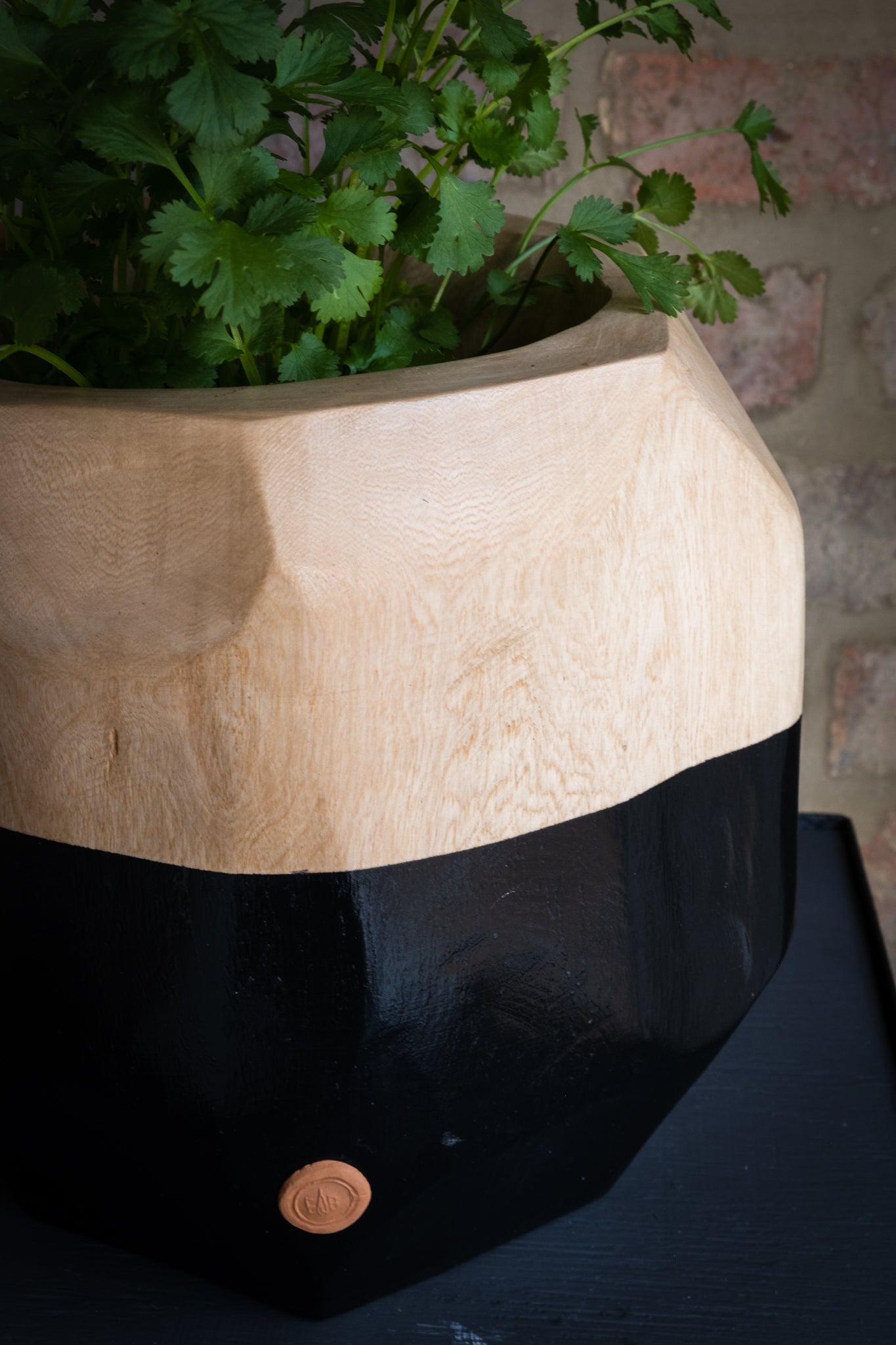 PLANT BOWL