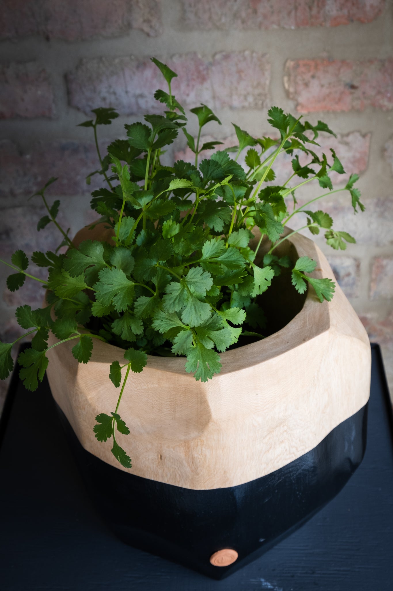 PLANT BOWL