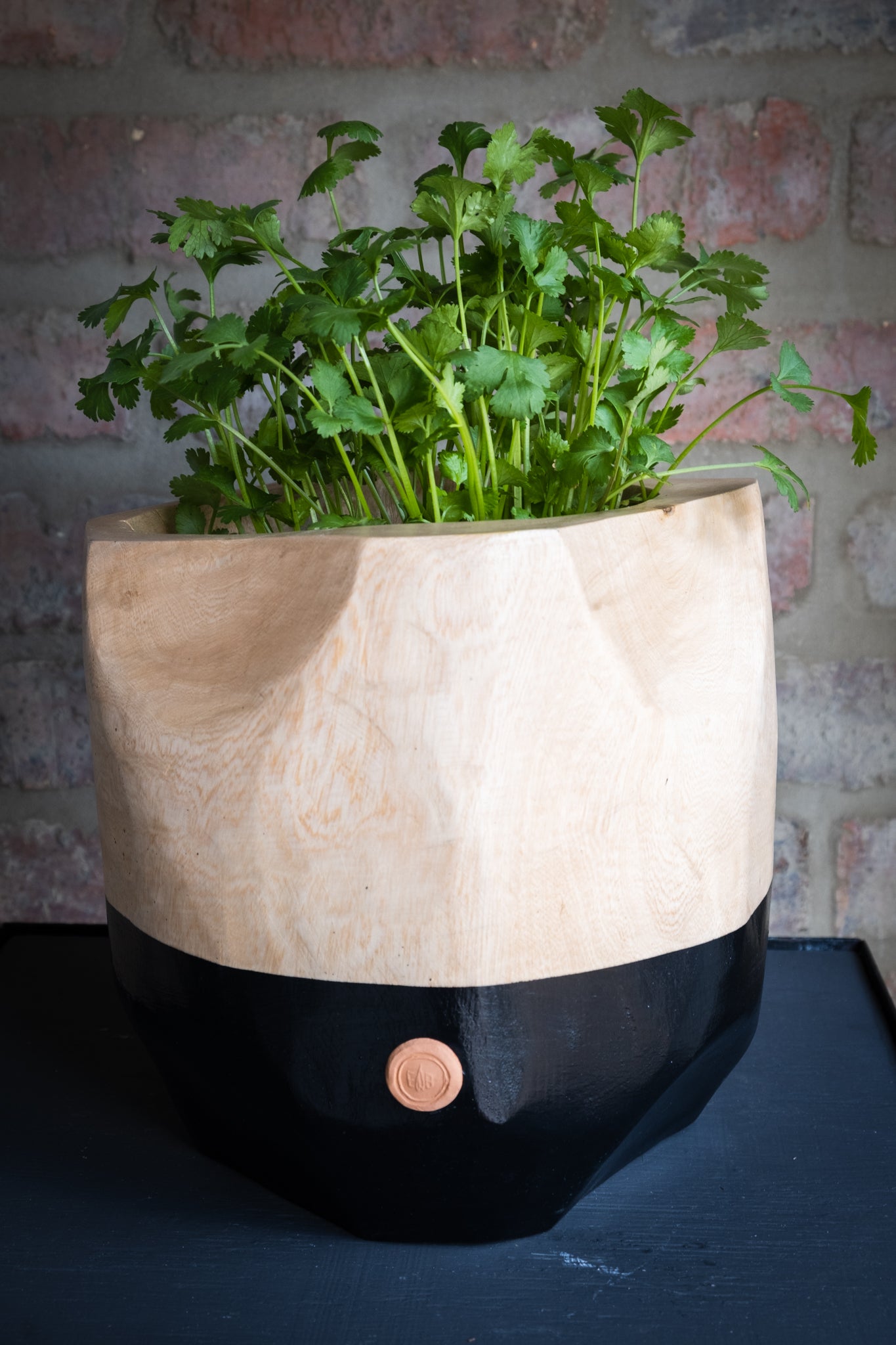 PLANT BOWL
